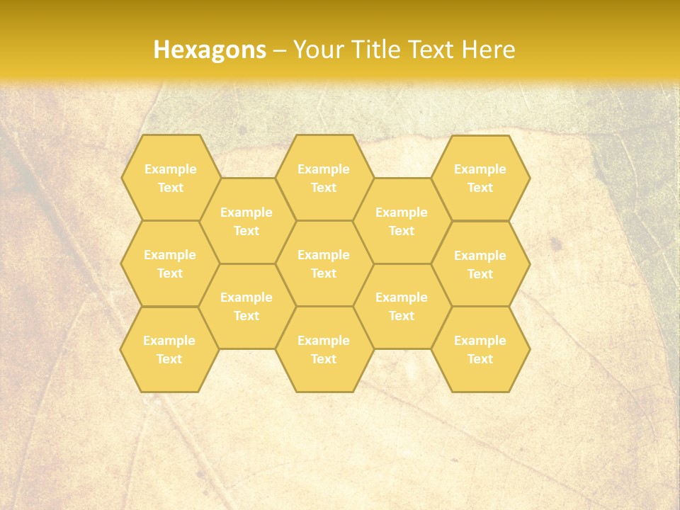 Age Nature Grunge PowerPoint Template