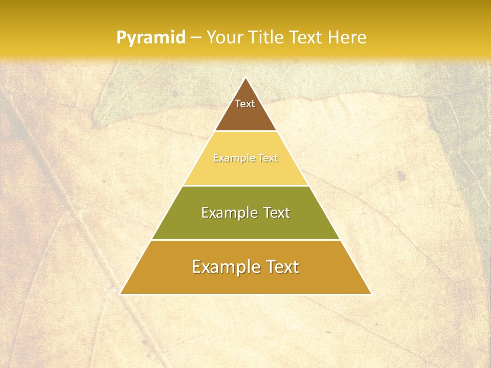 Age Nature Grunge PowerPoint Template