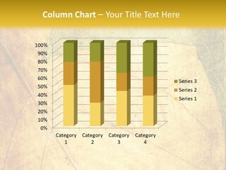 Age Nature Grunge PowerPoint Template