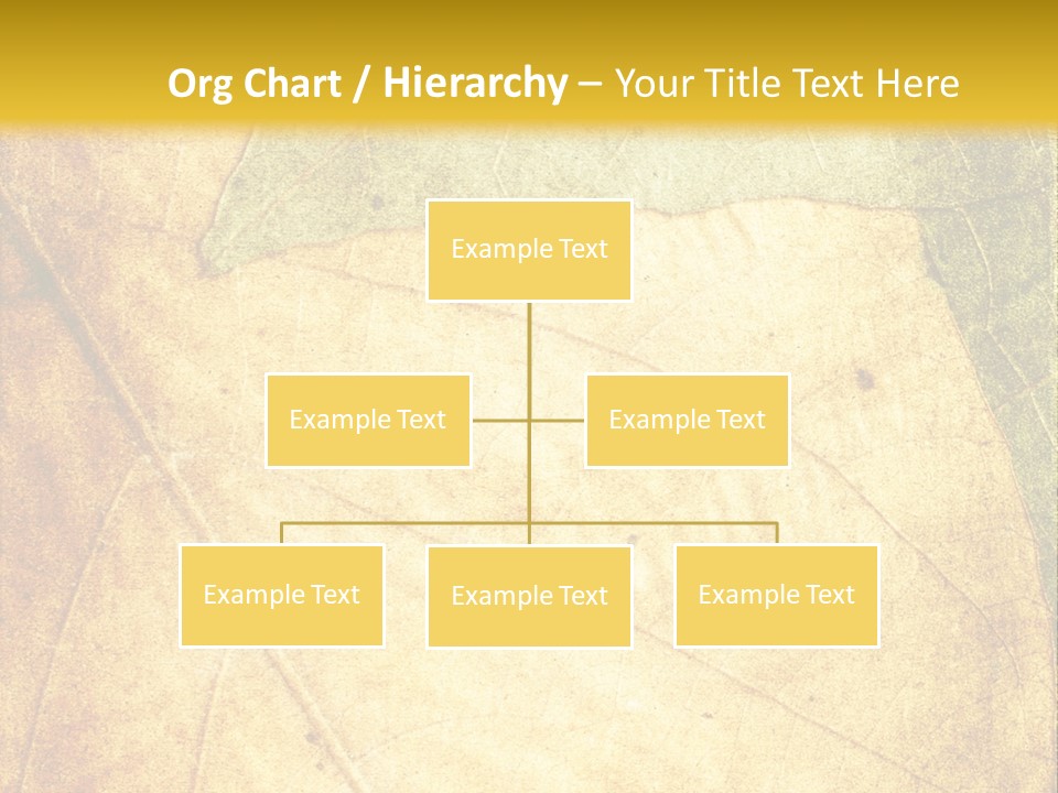 Age Nature Grunge PowerPoint Template