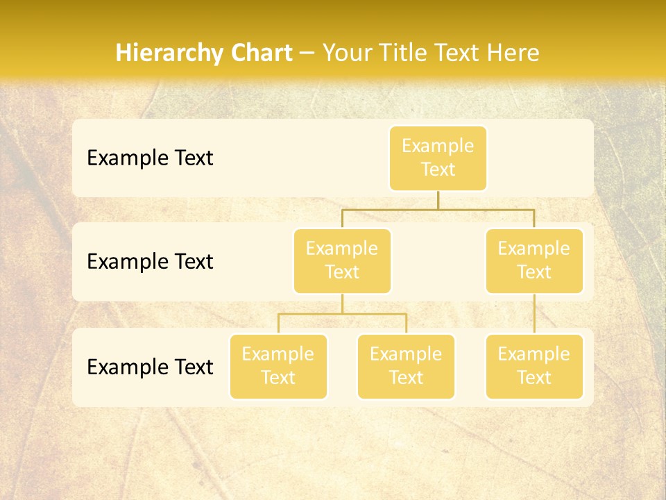 Age Nature Grunge PowerPoint Template