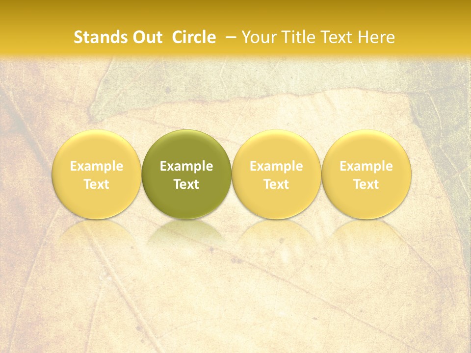 Age Nature Grunge PowerPoint Template