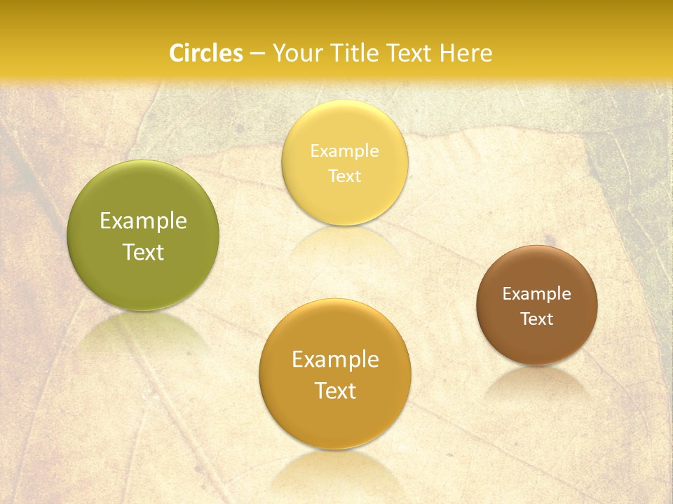 Age Nature Grunge PowerPoint Template