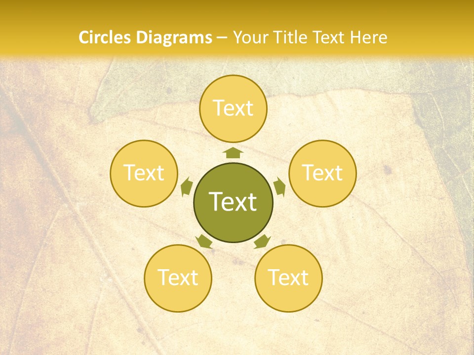 Age Nature Grunge PowerPoint Template