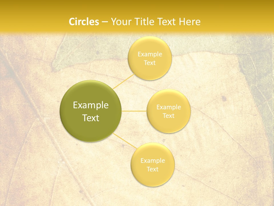 Age Nature Grunge PowerPoint Template