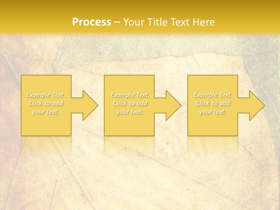 Age Nature Grunge PowerPoint Template