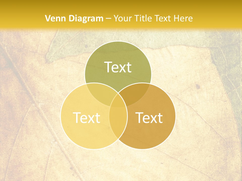 Age Nature Grunge PowerPoint Template