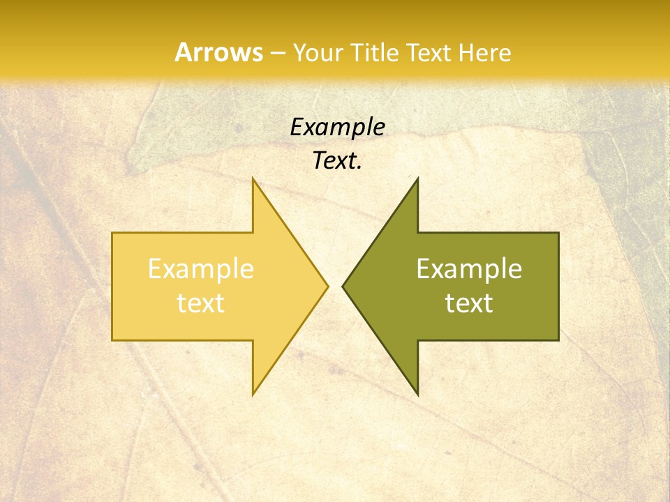 Age Nature Grunge PowerPoint Template