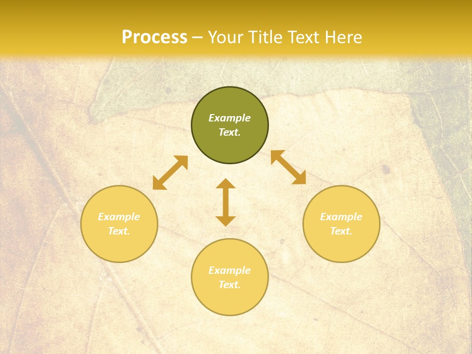 Age Nature Grunge PowerPoint Template