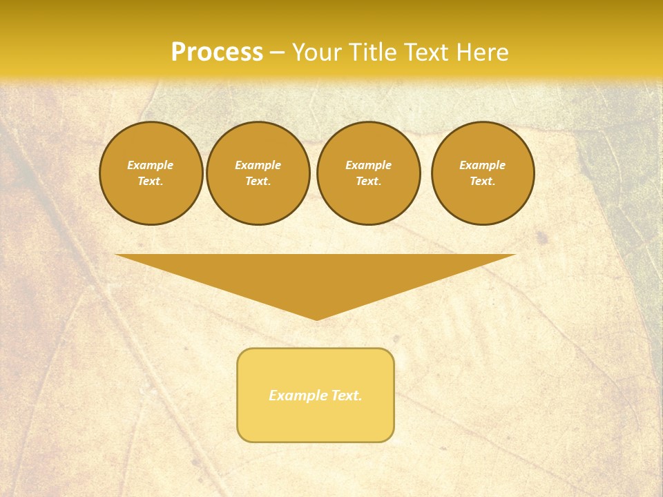 Age Nature Grunge PowerPoint Template