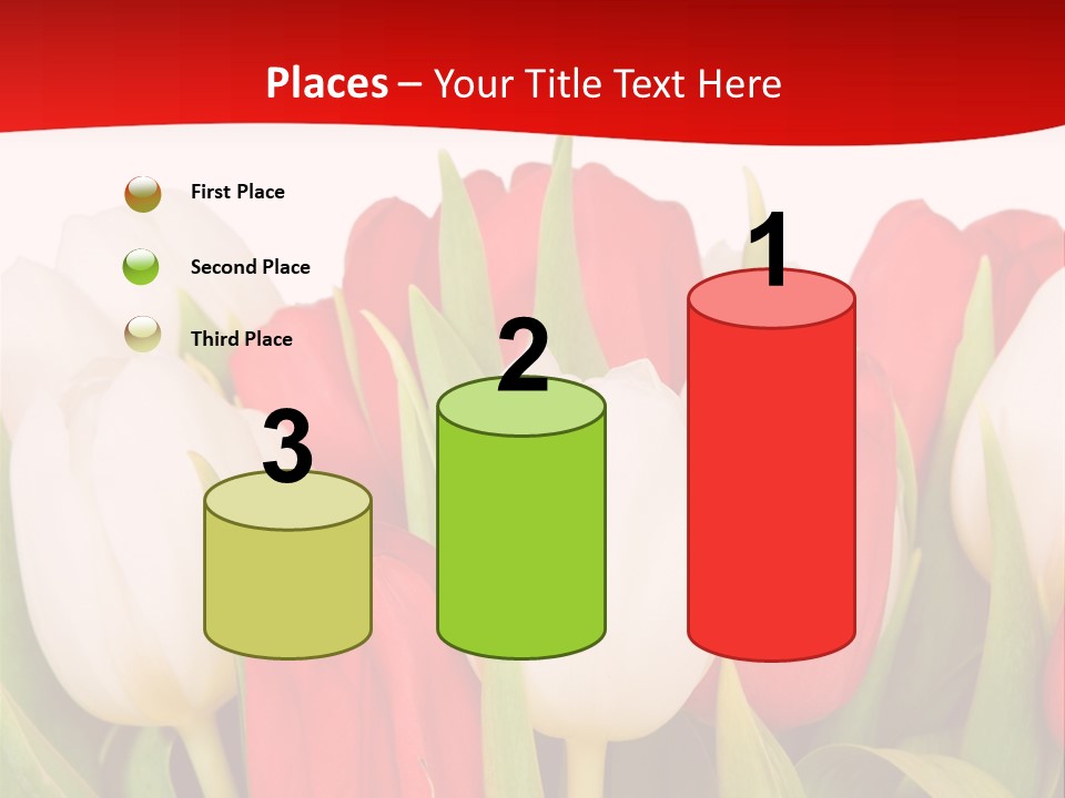 Color Surprise Day PowerPoint Template