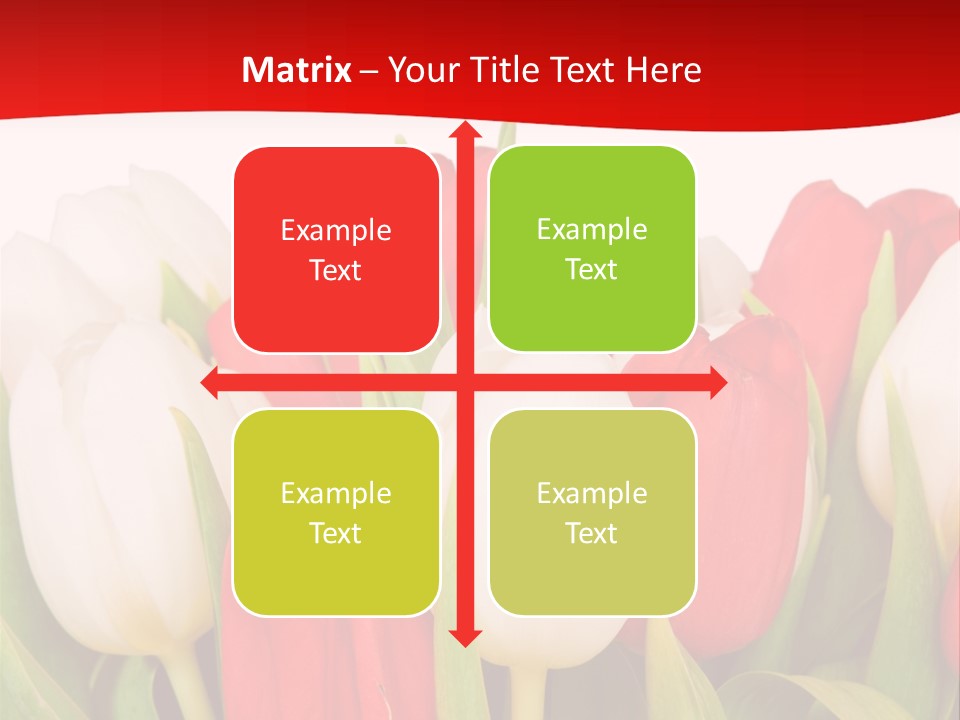 Color Surprise Day PowerPoint Template