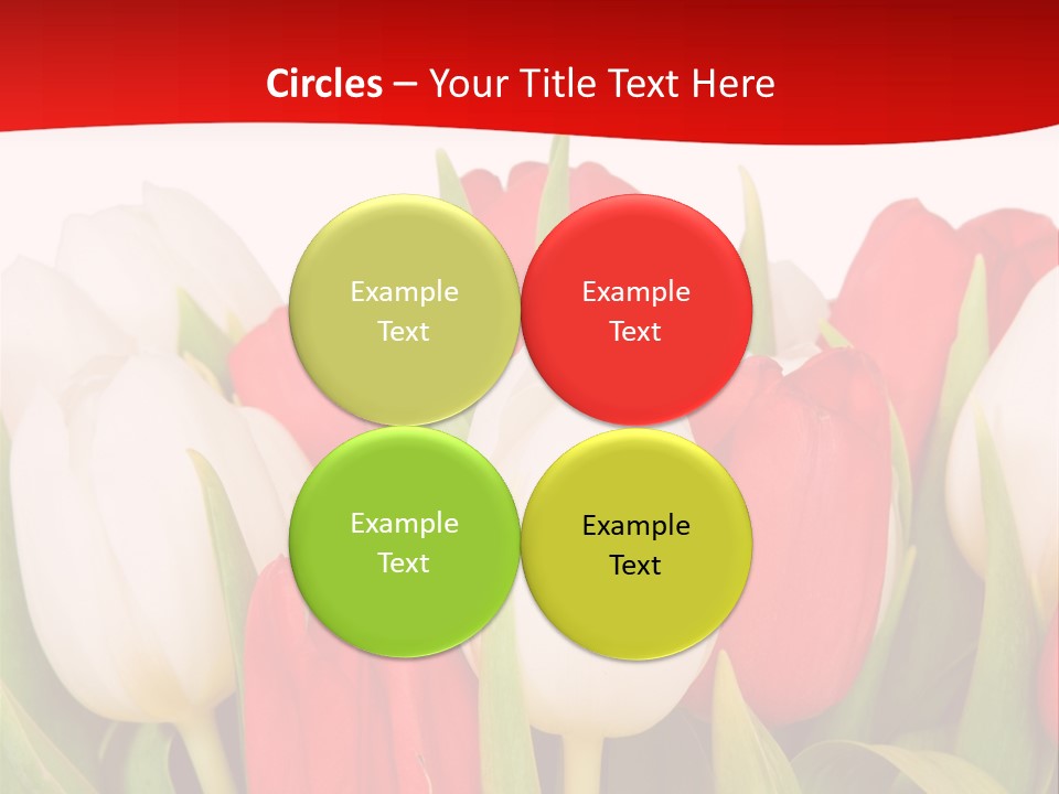 Color Surprise Day PowerPoint Template