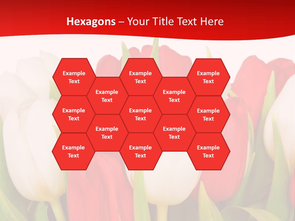 Color Surprise Day PowerPoint Template