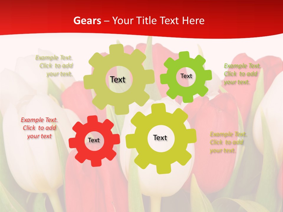 Color Surprise Day PowerPoint Template