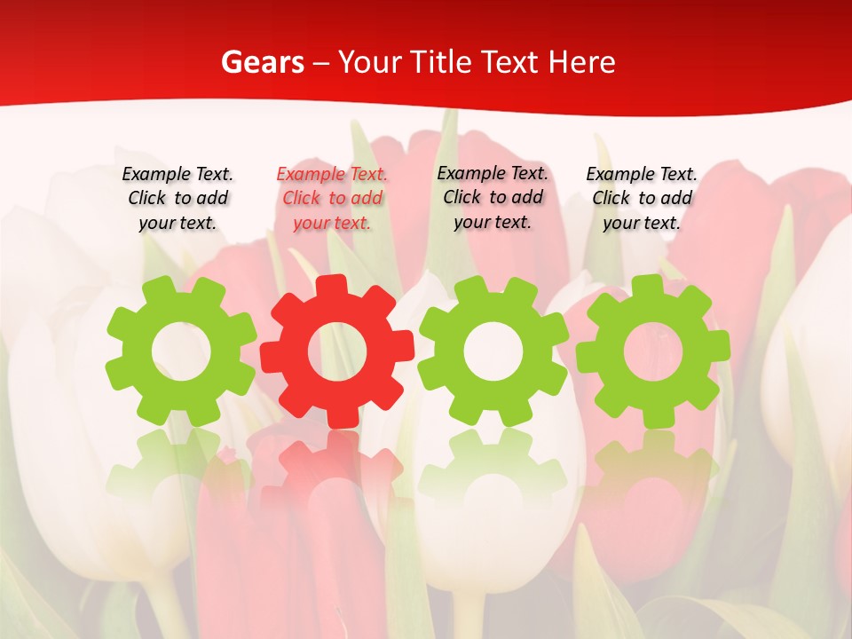 Color Surprise Day PowerPoint Template