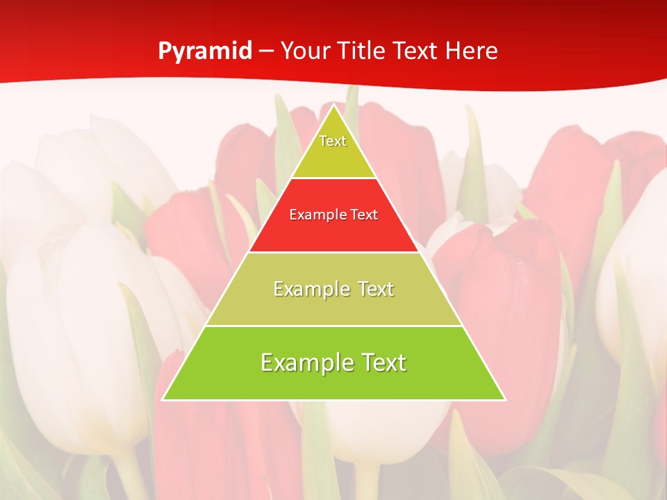 Color Surprise Day PowerPoint Template