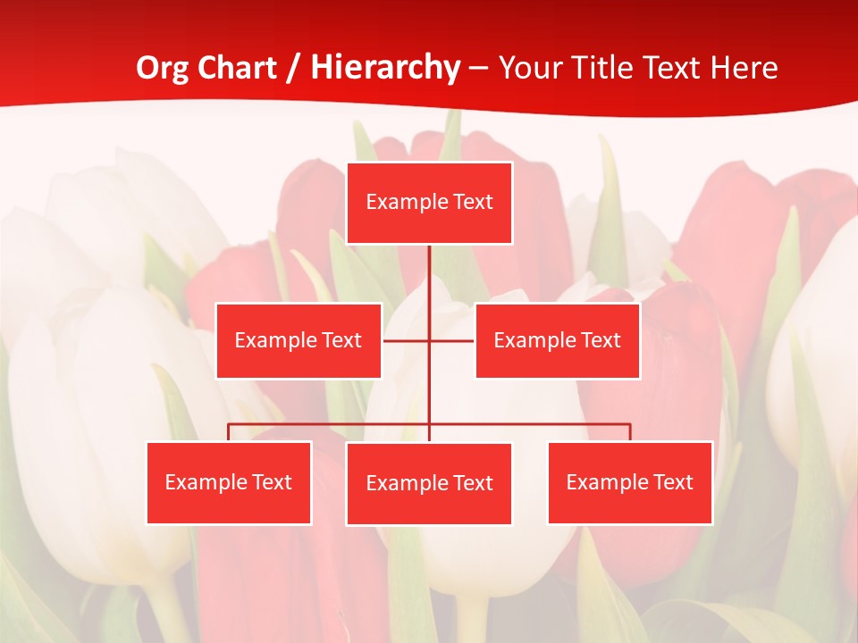 Color Surprise Day PowerPoint Template