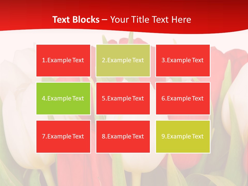 Color Surprise Day PowerPoint Template