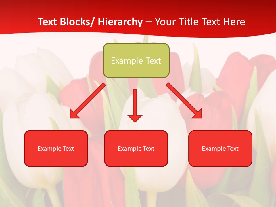 Color Surprise Day PowerPoint Template