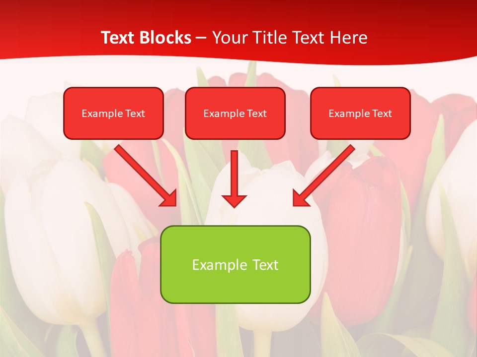 Color Surprise Day PowerPoint Template