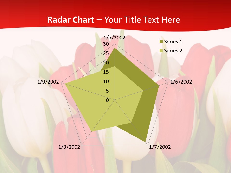 Color Surprise Day PowerPoint Template