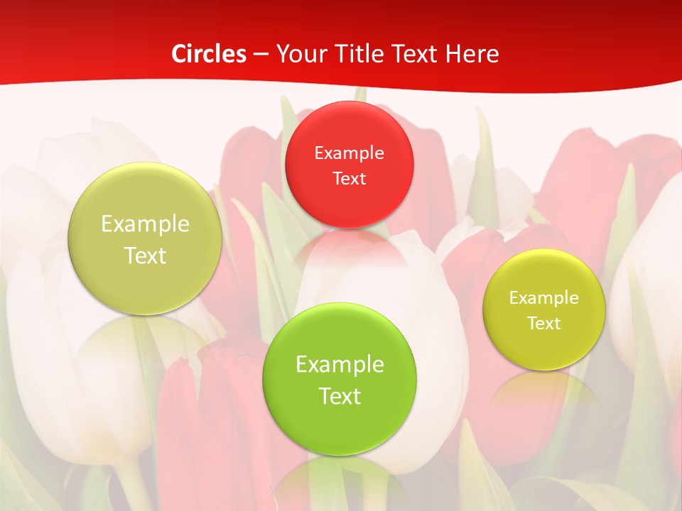 Color Surprise Day PowerPoint Template