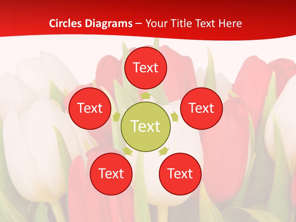 Color Surprise Day PowerPoint Template