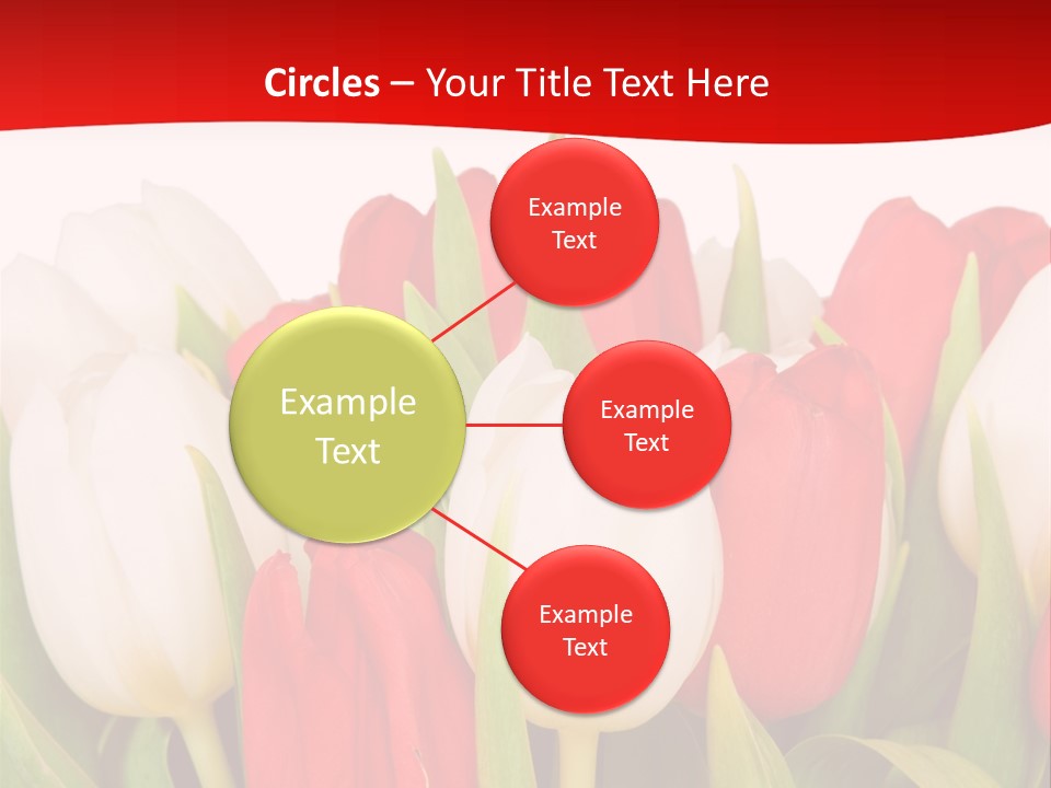 Color Surprise Day PowerPoint Template