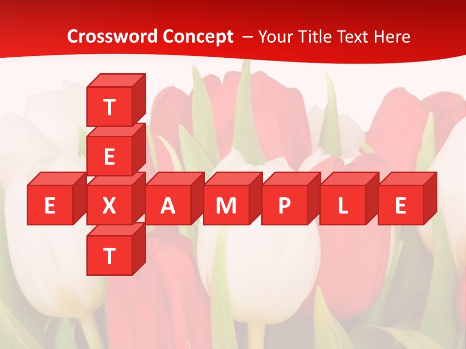 Color Surprise Day PowerPoint Template