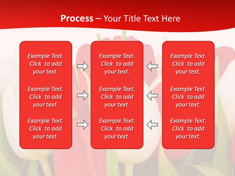 Color Surprise Day PowerPoint Template