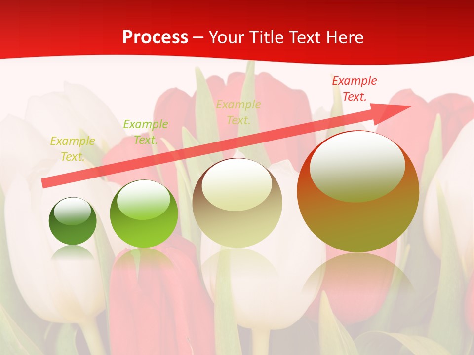 Color Surprise Day PowerPoint Template