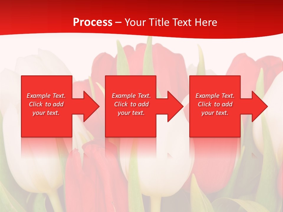 Color Surprise Day PowerPoint Template