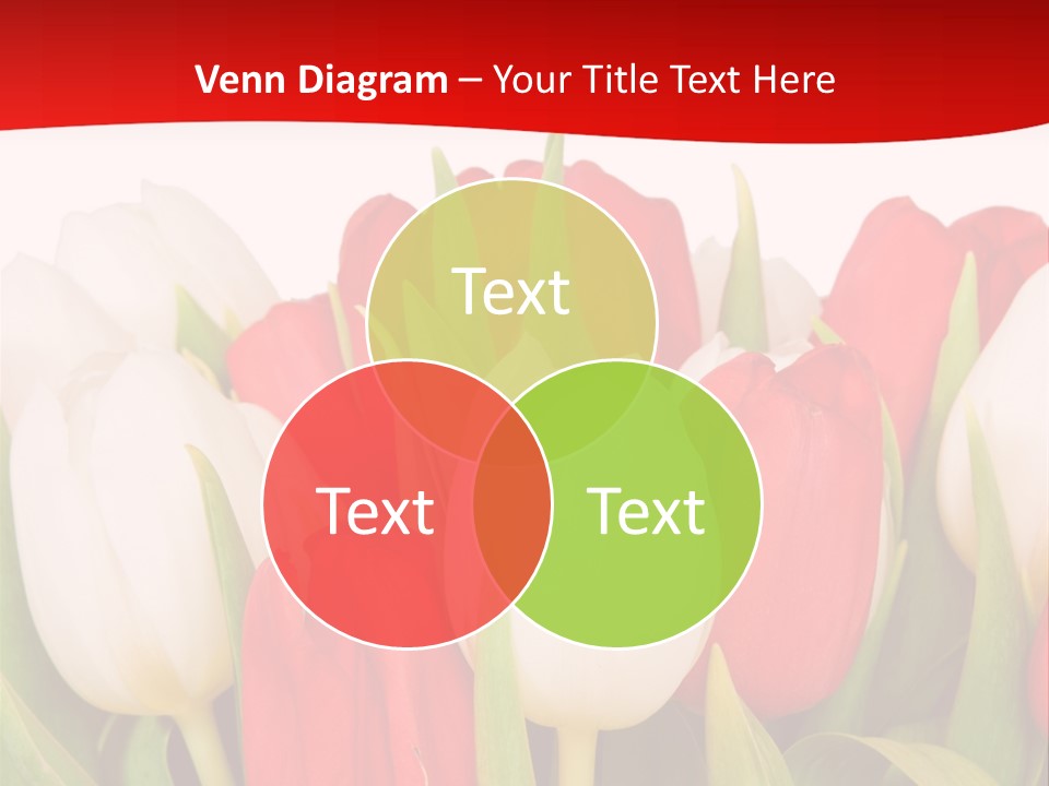 Color Surprise Day PowerPoint Template