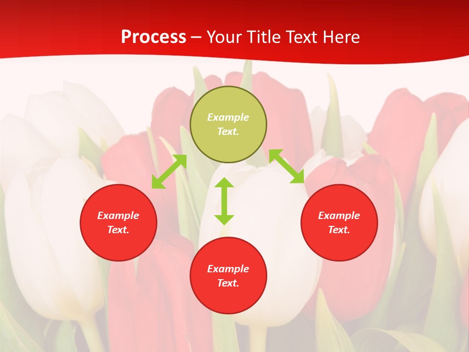 Color Surprise Day PowerPoint Template
