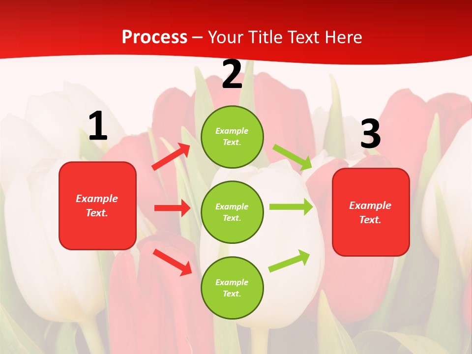 Color Surprise Day PowerPoint Template