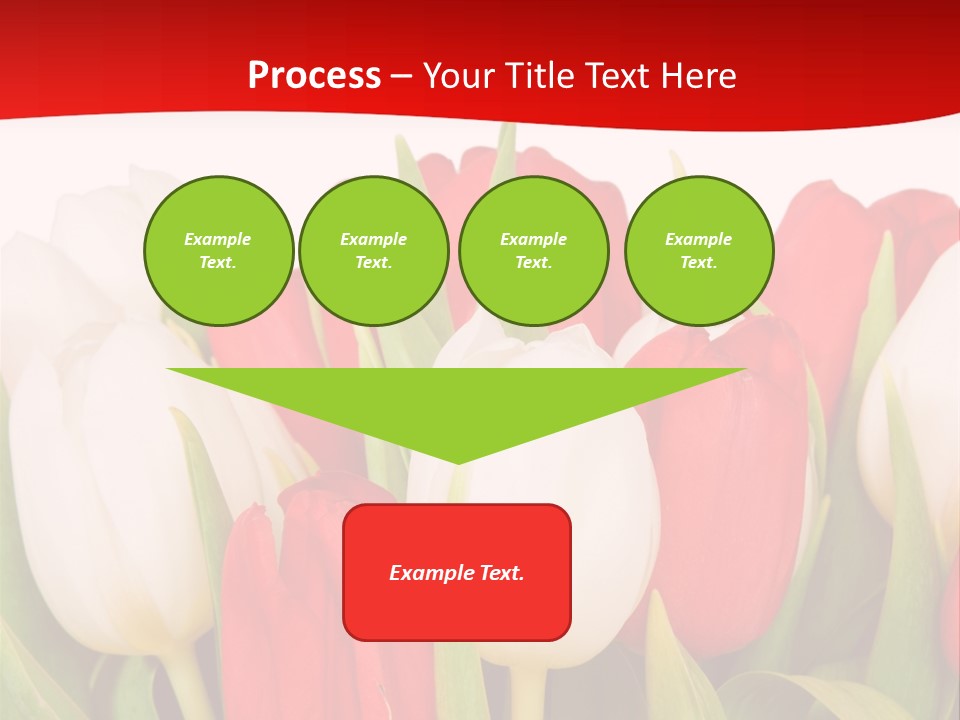 Color Surprise Day PowerPoint Template