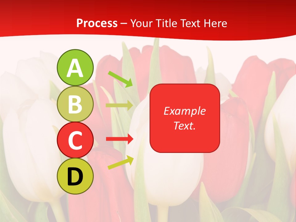 Color Surprise Day PowerPoint Template