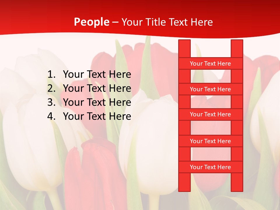 Color Surprise Day PowerPoint Template