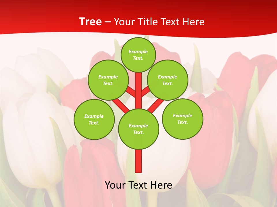 Color Surprise Day PowerPoint Template