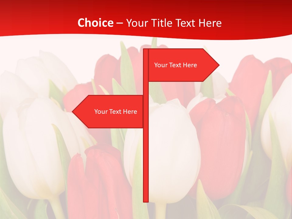 Color Surprise Day PowerPoint Template