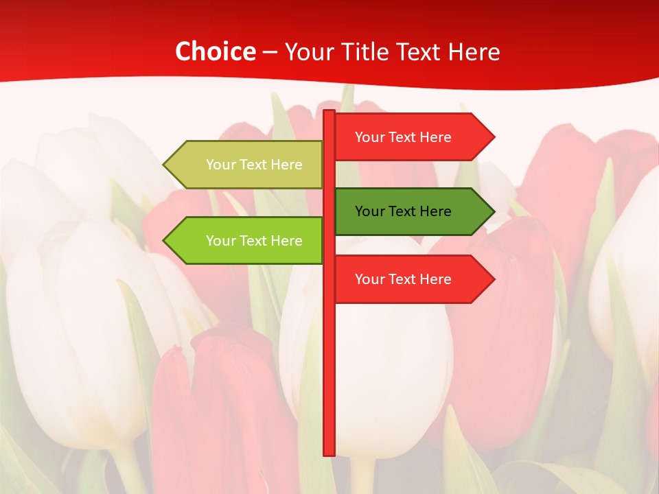 Color Surprise Day PowerPoint Template