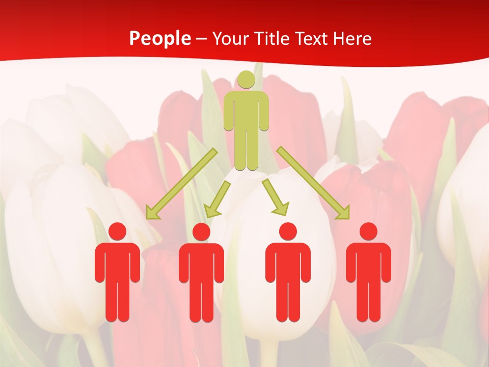 Color Surprise Day PowerPoint Template