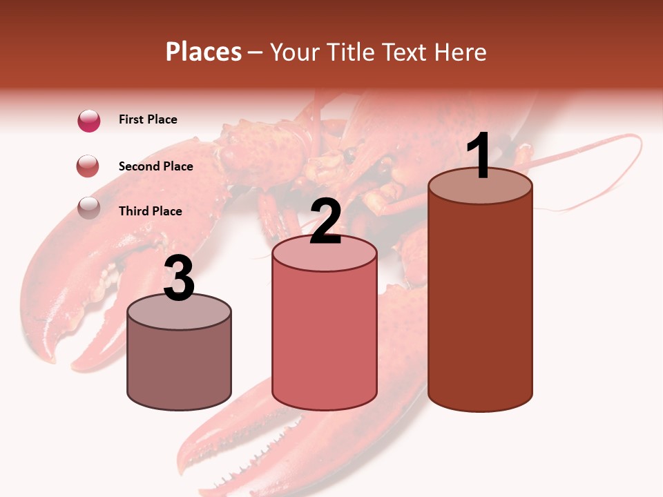 Length White Marines PowerPoint Template