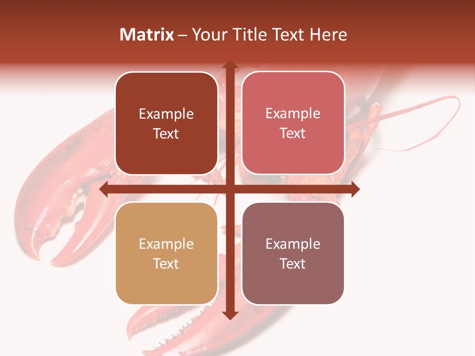 Length White Marines PowerPoint Template