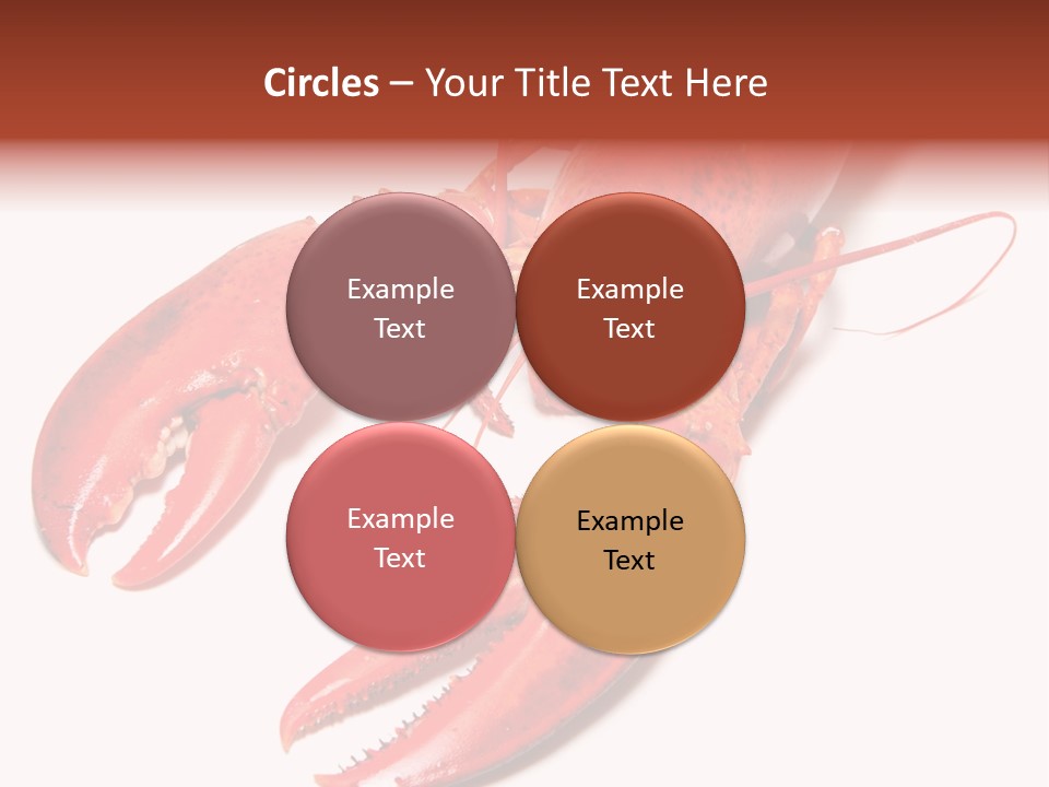 Length White Marines PowerPoint Template