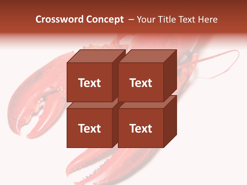 Length White Marines PowerPoint Template