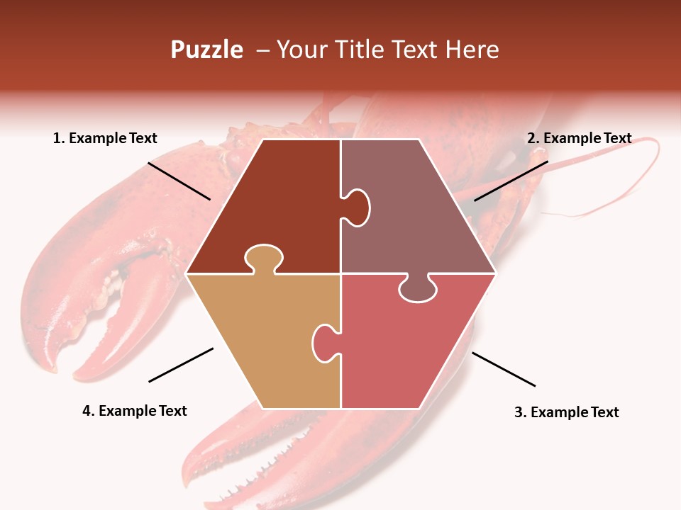 Length White Marines PowerPoint Template