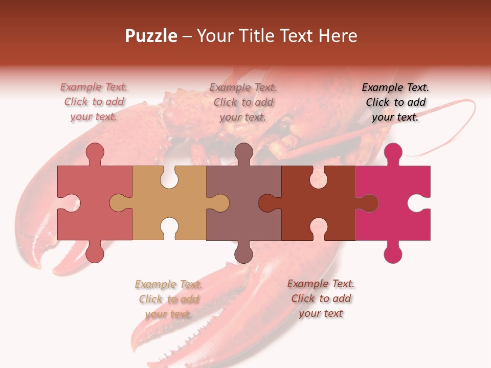 Length White Marines PowerPoint Template