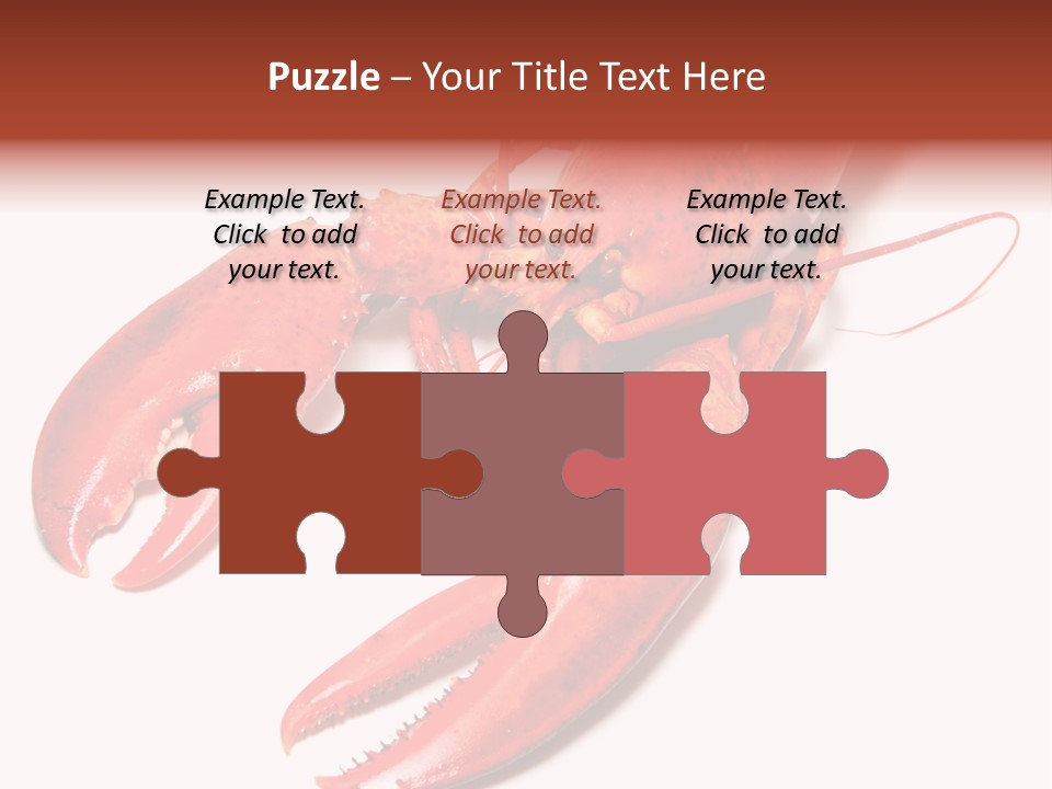 Length White Marines PowerPoint Template